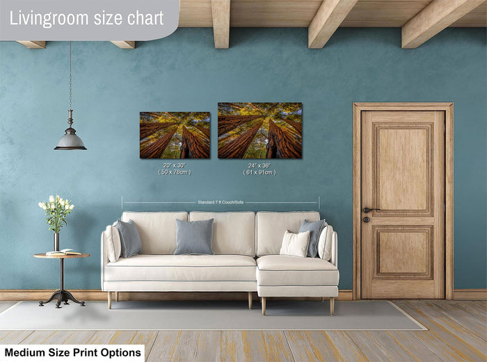 a living room with a white sofa, a wooden door, and a painting of trees on the wall. The living room appears to be well-lit and decorated with a modern style.