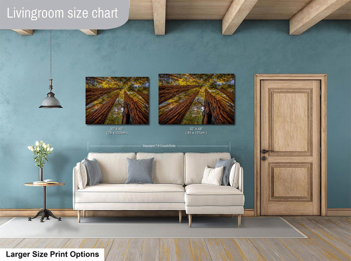 a living room with a white sofa, a wooden door, and two framed photographs of trees hanging on the wall.