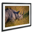A rhinoceros standing in a grassy field with two birds perched on its back.