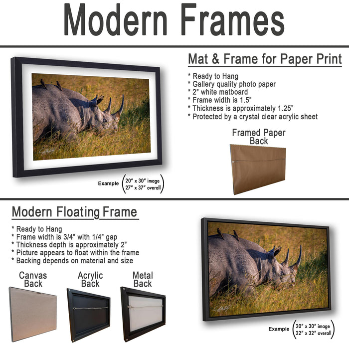 The image is a collage of two framed pictures, one of a rhinoceros and the other of a grassy field. The rhinoceros picture is framed in a modern floating frame, while the grassy field picture is framed in a modern hanging frame. The collage includes examples of mat and frame sizes for both types of frames.