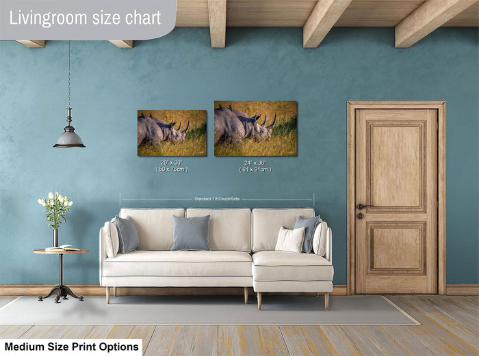 a living room with a white sofa, a wooden door, and a painting of two rhinos on the wall. The living room has a blue wall and a wooden floor.