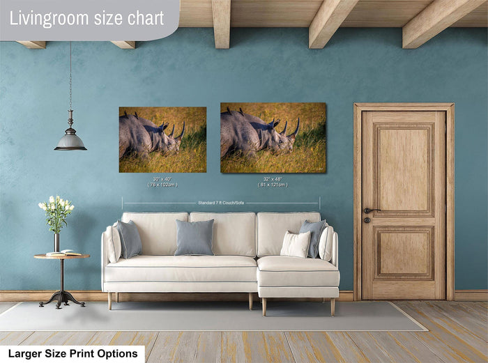 a living room with a white sofa, a wooden door, and two framed photographs of rhinos hanging on the wall.