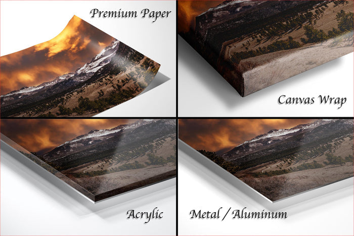 The image is a collage of four different images, each depicting a landscape with mountains and trees. The images are labeled as "Premium Paper", "Canvas Wrap", "Acrylic", and "Metal/Aluminum".