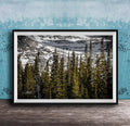 A framed photograph of a snowy mountain landscape with a dense forest of evergreen trees in the foreground.
