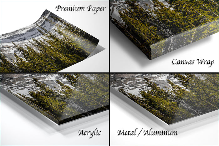 The image is a collage of four different images, each depicting a forest scene. The images are labeled as "Premium Paper", "Canvas Wrap", "Acrylic", and "Metal/Aluminum".