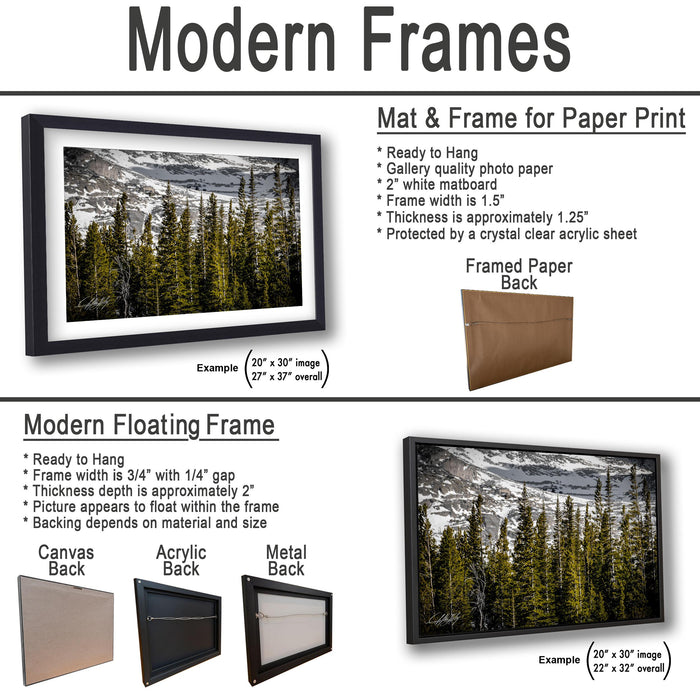 The image is a collage of three framed pictures, each depicting a different landscape scene. The first picture shows a forest, the second picture depicts a mountain range, and the third picture features a beach. The frames are designed to hang on a wall, and they come in various sizes and materials, including acrylic and metal backings.