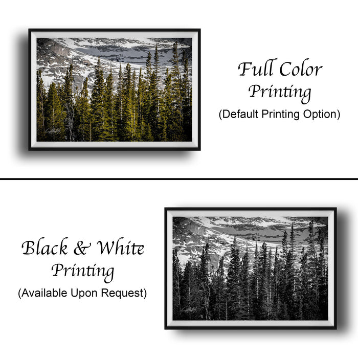 The image is a collage of two framed pictures. The top picture is a black and white photograph of a forest, while the bottom picture is a full color photograph of the same forest. Both pictures are framed and displayed side by side, with the top picture labeled as "Full Color Printing" and the bottom picture labeled as "Black & White Printing".