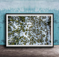 The image is a framed aerial photograph of a snowy forest, showcasing the dense forest covered in snow.