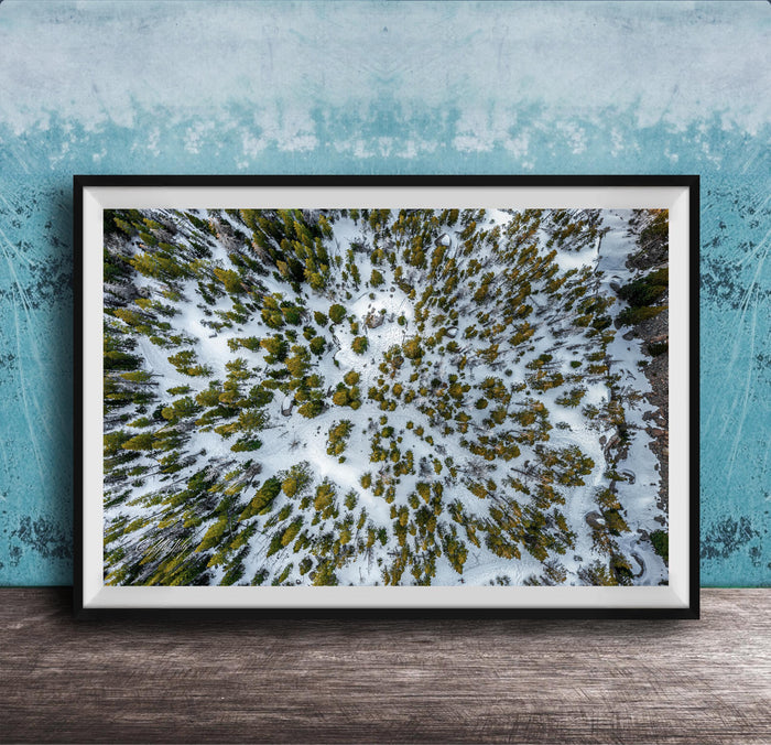 The image is a framed aerial photograph of a snowy forest, showcasing the dense forest covered in snow.