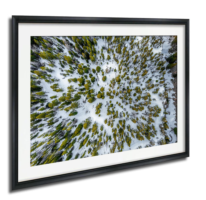 The image is a framed aerial view of a snowy forest with a mix of green and white trees.