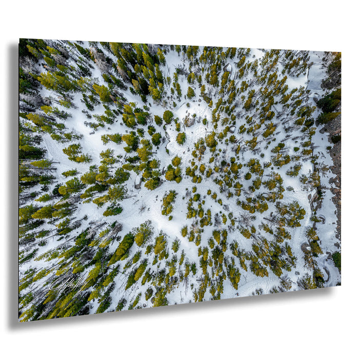 The image is an aerial view of a snowy forest with a mix of green and yellow trees.