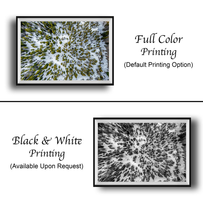 The image is a collage of two framed photographs. The top photograph is a full color print, while the bottom photograph is a black and white print. Both images depict a forest or wooded area, with the full color print showing a vibrant mix of green and brown, and the black and white print showing a stark contrast of black and white. The text below the images indicates that the full color printing is available upon request, and the black and white print is not.