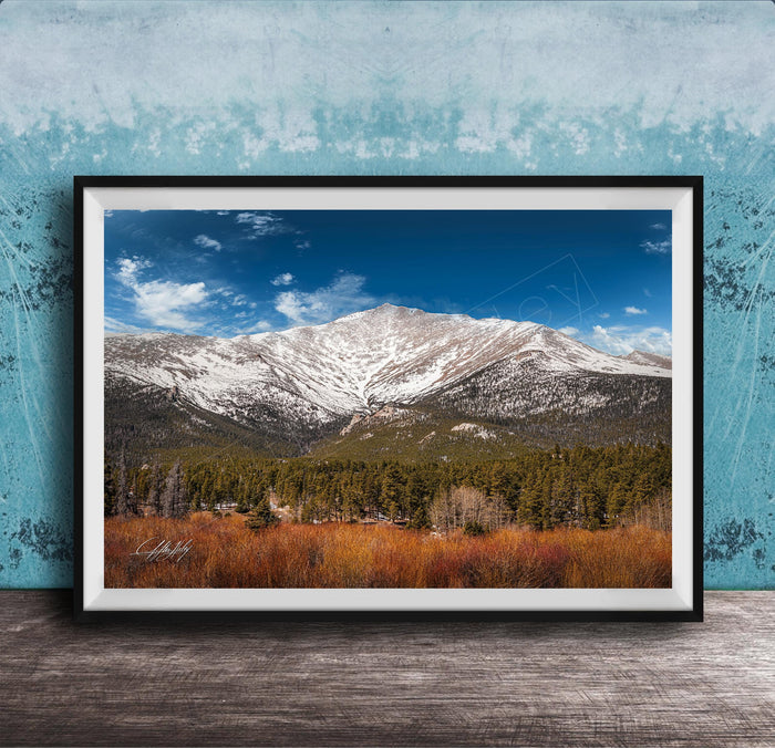 A framed photograph of a snow-capped mountain range with a forested valley in the foreground, set against a blue sky with wispy clouds.