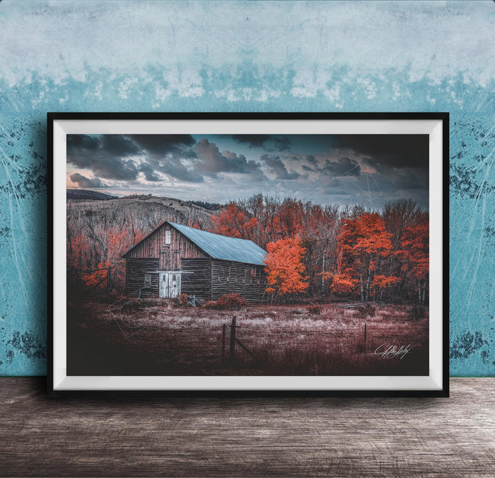 A rustic wooden barn stands in a field, surrounded by trees with vibrant orange leaves against a cloudy sky.