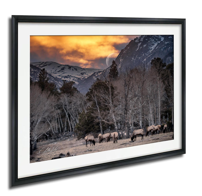 A framed photograph depicting a group of deer grazing in a snowy mountain landscape with a full moon and a vibrant sunset sky.