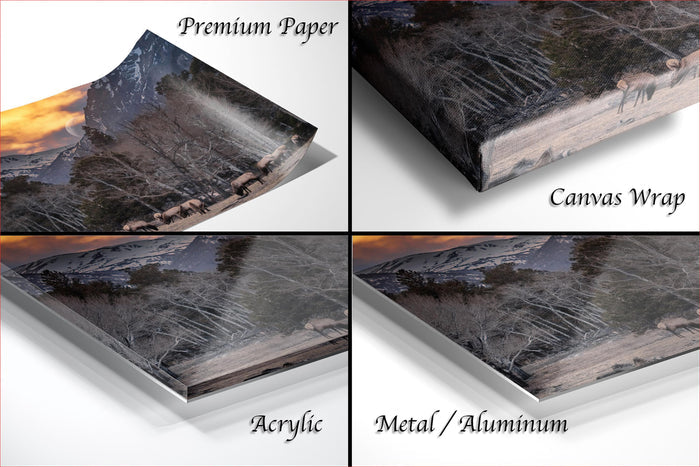 The image is a collage of four different views of a landscape, including a premium paper print, a canvas wrap, an acrylic print, and a metal/aluminum print.