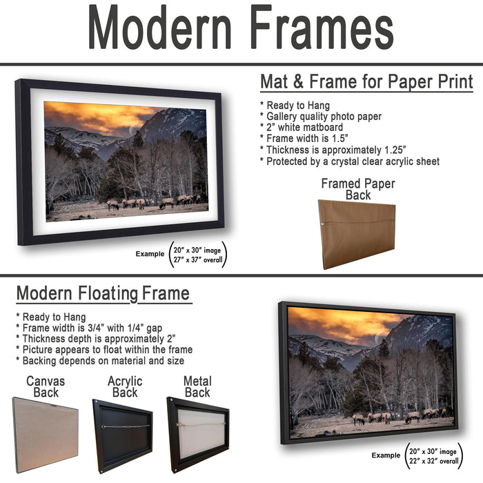 The image is a comparison of modern frames and floating frames for paper print, with a focus on their sizes, materials, and how they display the artwork.