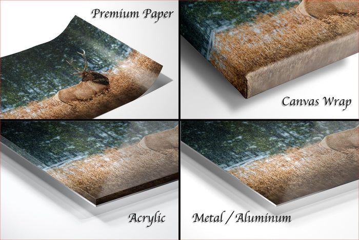 The image is a collage of four different views of a printed canvas wrap featuring a deer in a wooded area.