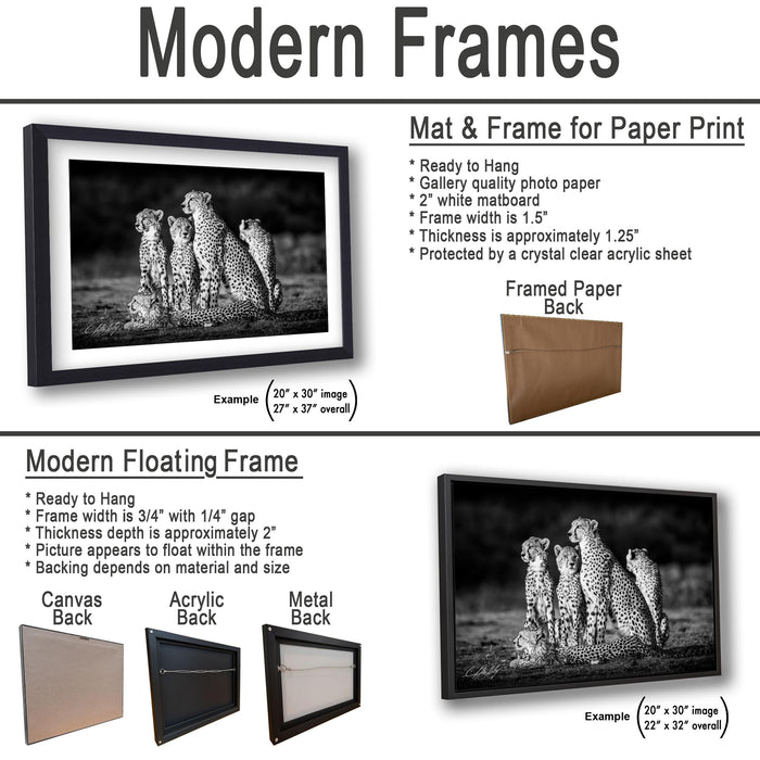 The image is a collage of two framed photographs, one of a group of cheetahs and one of a group of leopards, both in black and white. The collage is framed in modern floating frames, and the backings are made of different materials, including acrylic and metal.