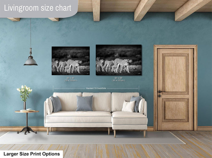 a living room with a white sofa, a wooden door, and two framed black and white photographs of cheetahs hanging on the wall.