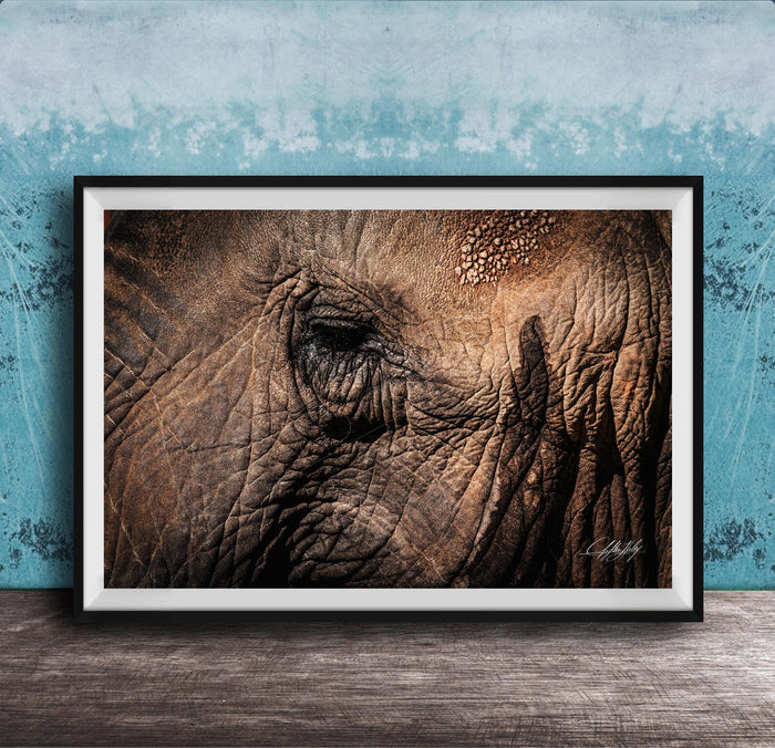 A framed photograph of an elephant's eye is displayed on a wooden surface against a blue textured wall.