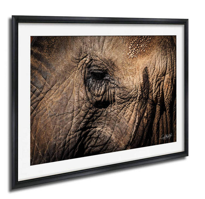 A close-up photograph of an elephant's eye, showcasing the intricate details and textures of its skin.