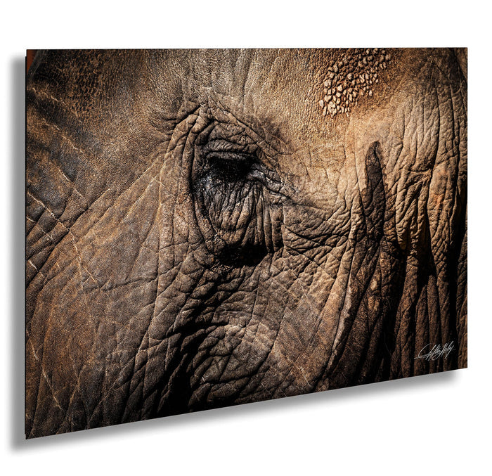A close-up photograph of the eye of an elephant, showcasing its intricate texture and depth.