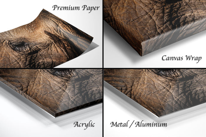 The image is a collage of four close-up photographs of an elephant's eye, each with a different finish: premium paper, canvas wrap, acrylic, and metal/aluminum.