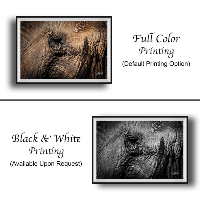 The image is a collage of two framed photographs. The top photograph is a close-up of an elephant's eye, while the bottom photograph is a close-up of the elephant's trunk. The top photograph is labeled "Full Color Printing" and the bottom photograph is labeled "Black & White Printing" and "Available Upon Request".