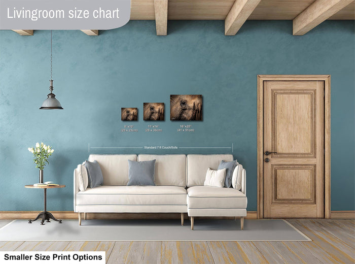 a living room with a white sofa, a wooden door, and a hanging light fixture. There are three framed pictures of elephants displayed on the wall above the sofa.