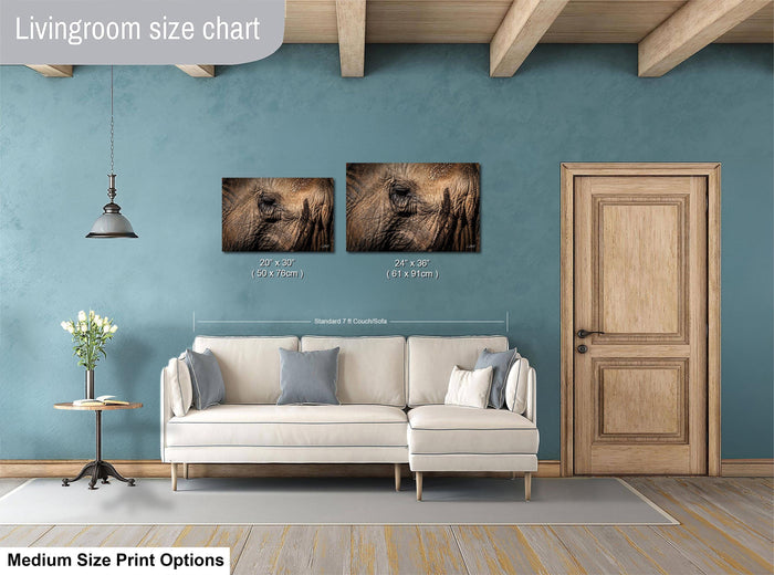 a living room with a white sofa, a wooden door, and a hanging light fixture. Above the sofa, there are two framed photographs of elephants, each with a different size. The wall behind the sofa has a blue color, and the floor is covered with a rug.