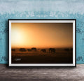 A framed photograph depicting a herd of elephants grazing in a field during a sunset.
