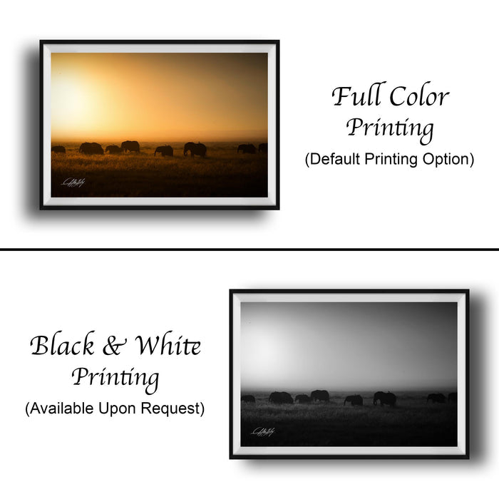 The image is a collage of two framed pictures. The top picture is a black and white photograph of a herd of elephants in a field, while the bottom picture is a full color photograph of the same herd of elephants in a field. The text below the images indicates that the full color printing is the default option, and the black and white version is available upon request.