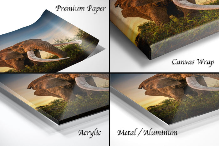 The image is a collage of four different views of an elephant, each with a different texture or finish, including "Premium Paper", "Canvas Wrap", "Acrylic", and "Metal/Aluminum".