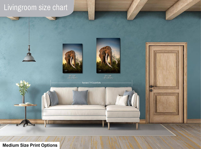 a living room with a white sofa, a wooden door, and a painting of an elephant on the wall. The painting is of a standard size of 24x36 inches.