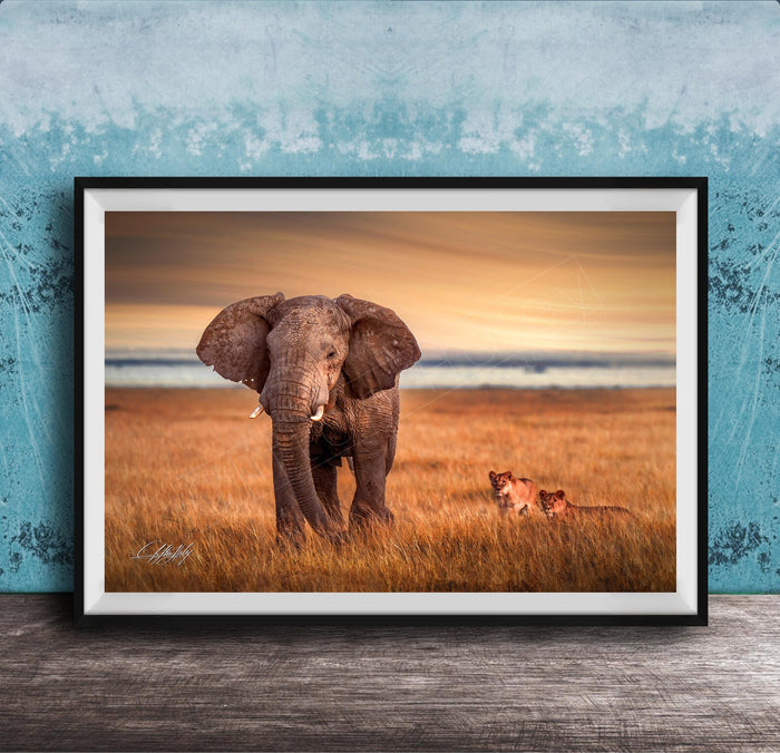 A large elephant stands in a grassy field, with two smaller lions in the background, against a backdrop of a blue sky with clouds.