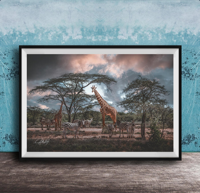 A framed photograph depicting a group of giraffes and zebras in a natural setting, with a cloudy sky in the background.