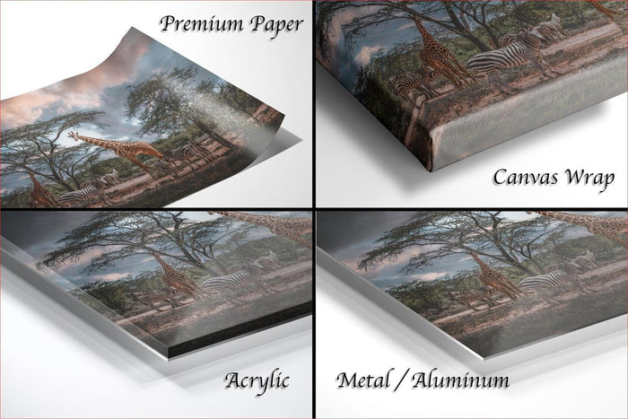 The image is a collage of four different views of a painting or artwork depicting a giraffe and zebras in a natural setting.