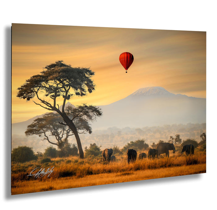 Amboseli sunrise, hot air balloon, elephants Kenya, acacia tree, Mount Kilimanjaro, wildlife photography, Maasai culture, African safari, Christian storytelling, Kenya landscapes