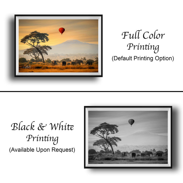 The image is a collage of two framed pictures. The top picture is a full color print of a landscape with a tree, a hot air balloon, and a mountain in the background. The bottom picture is a black and white print of the same landscape, with a tree and a hot air balloon in the background. The text below the images indicates that the full color printing is the default printing option, and the black and white print is available upon request.