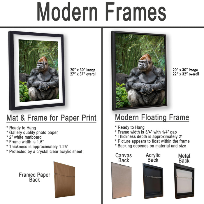 The image is a comparison of modern frames for different types of paper prints, including a mat and a floating frame. The text provides details about the mat and frame options, such as their size, material, and how they are mounted.