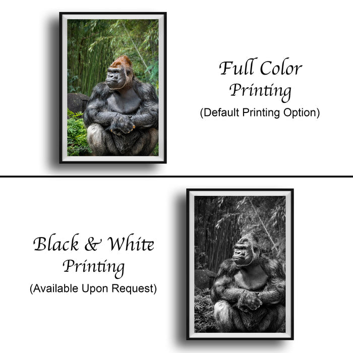 The image is a collage of two framed pictures. The top picture is a black and white photo of a gorilla sitting in a forest, while the bottom picture is a full color photo of the same gorilla. The bottom picture also includes text that says "Full Color Printing (Default Printing Option)" and "Black & White Printing (Available Upon Request)."