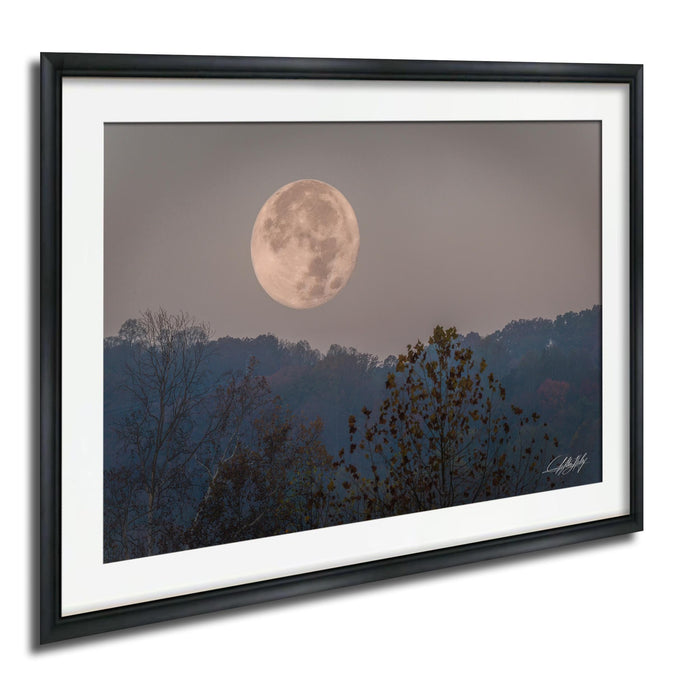 a large, full moon in the night sky, surrounded by a forested landscape with trees and foliage.