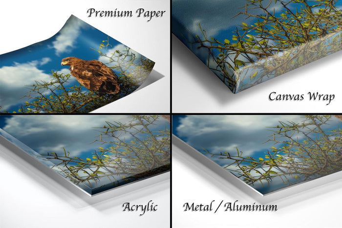 The image is a collage of four different views of a bird perched on a branch against a cloudy sky background. The collage includes three different types of materials: premium paper, canvas wrap, and acrylic.