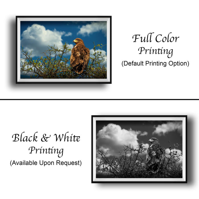 The image is a collage of two framed pictures. The top picture is a full color print of a bird perched on a branch, while the bottom picture is a black and white print of the same bird. Both pictures are framed and displayed side by side, with the top picture being labeled as "Full Color Printing" and the bottom picture as "Black & White Printing (Available Upon Request)"
