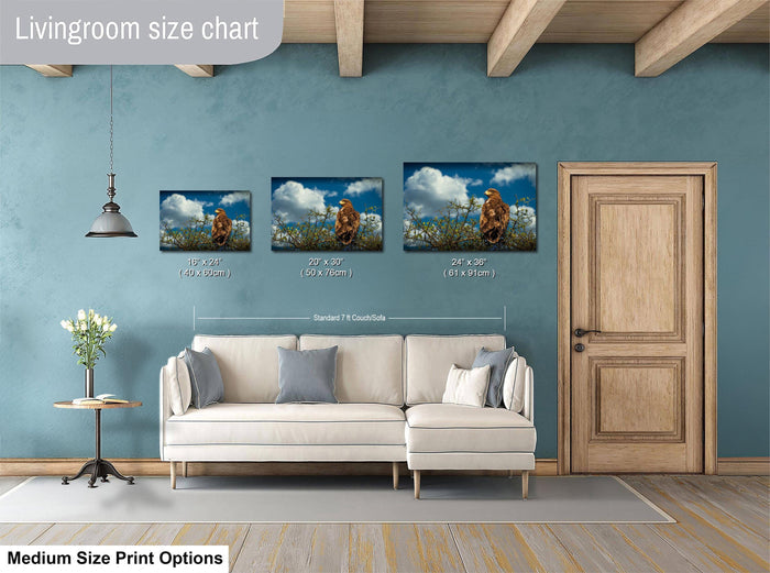 a living room with a white sofa and a wooden door. Above the sofa, there is a livingroom size chart that provides the dimensions of three framed prints of a lion in the wild. The chart indicates that the largest print is 24" x 36" and the smallest print is 18" x 24" and the medium print is 21" x 36".