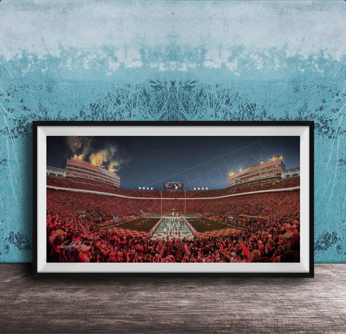 A framed photograph of a crowded sports stadium at night, with the stands filled with spectators and the field illuminated by bright lights.