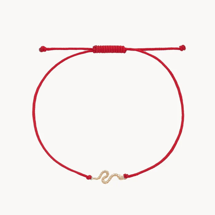 The Serpent Contemplation Cord Bracelet in 10k yellow gold with red cord