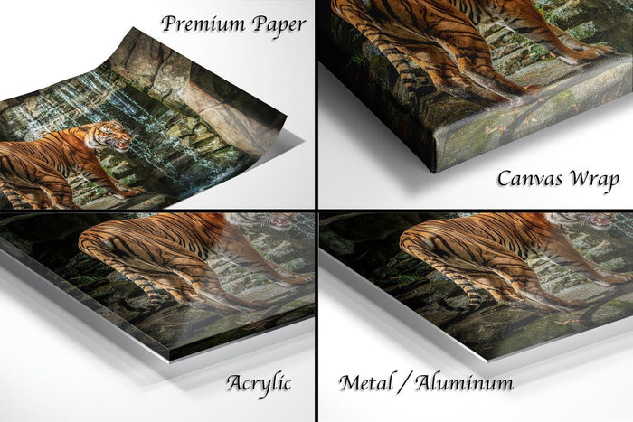 The image is a collage of four photographs depicting a tiger in various settings, including a forest, a rocky cliff, and a jungle.