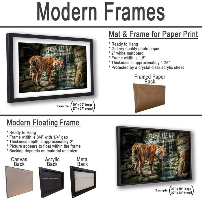 The image is a collage of two framed pictures, one of a tiger and one of a waterfall, both in black frames. The tiger picture is hung on the wall, while the waterfall picture is framed and placed on a wooden board. The collage also includes a description of the frames and their features, such as the mat and frame for paper print, the modern floating frame, and the acryclic and metal back.